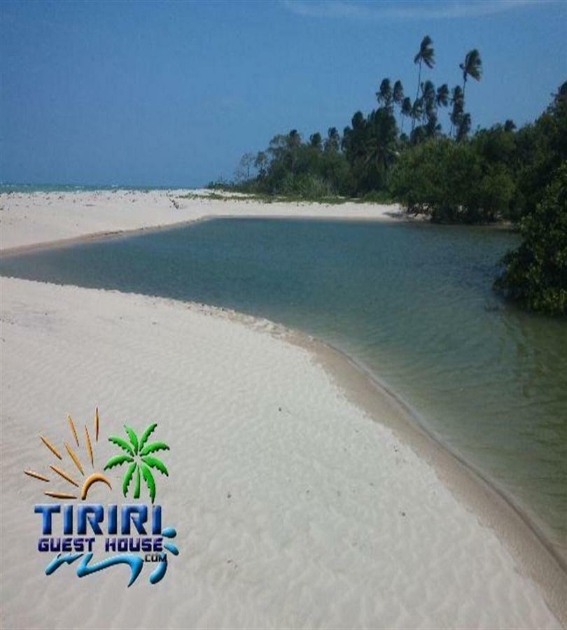 Pousada Tiriri Guesthouse Barra do Camaragibe المظهر الخارجي الصورة